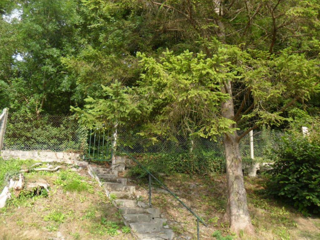 gite l oree de la foret Incheville Extérieur photo